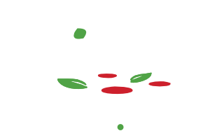 samford pizza square logo transparent background